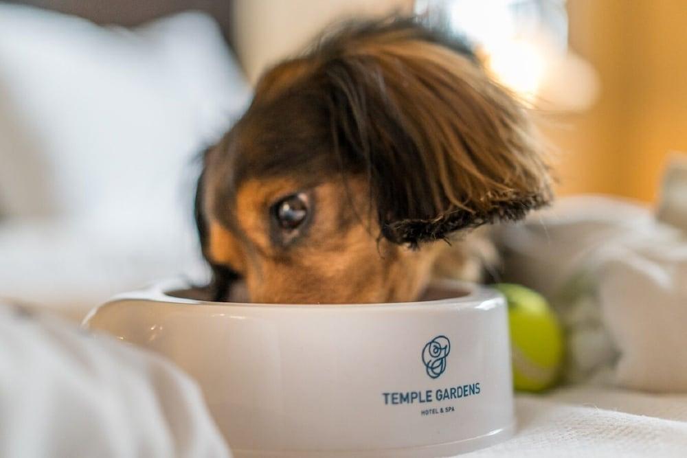 Temple Gardens Hotel & Spa Moose Jaw Zewnętrze zdjęcie